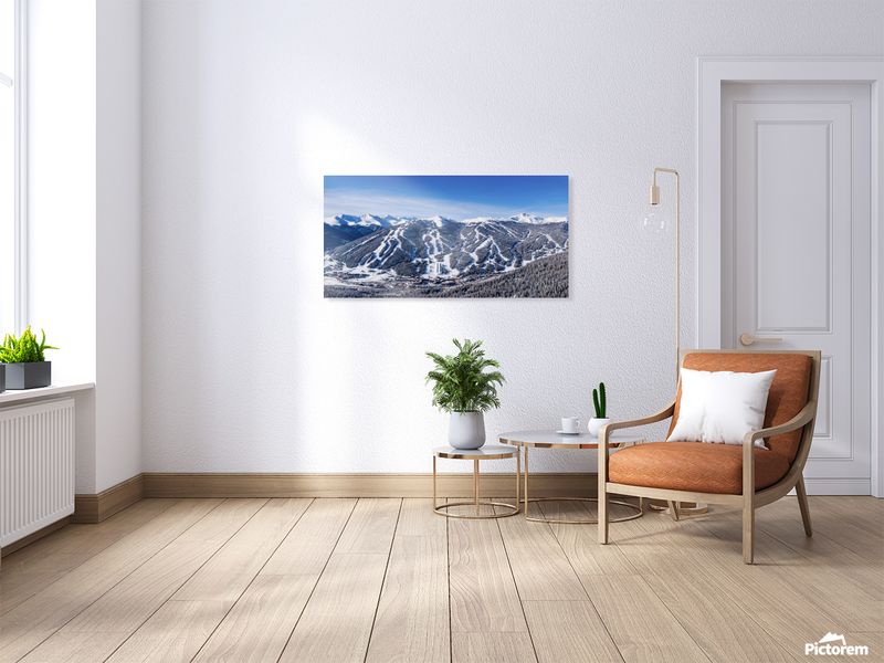 Aerial Pano Brushed Metal Large 48 x 24