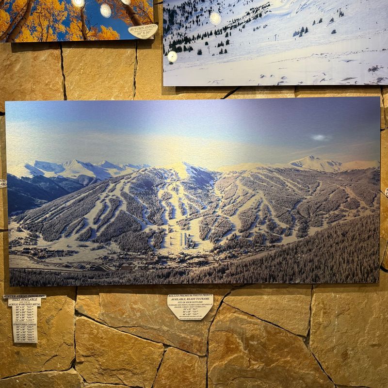 Aerial Pano Brushed Metal Large 48 x 24