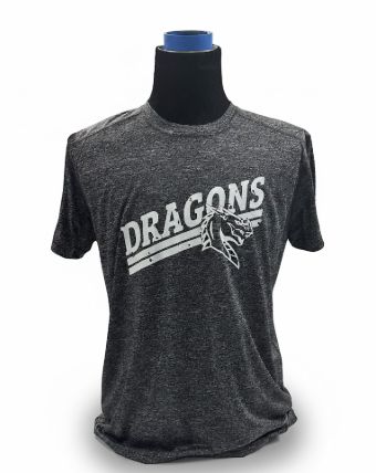 Rawlings Athletic Wear Grey/Gray "Dragons" Tee