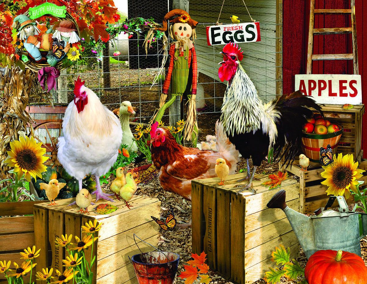 Chickens on the Farm 1000 pc