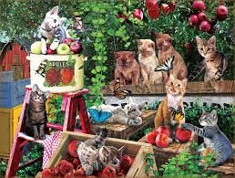 Apple Harvest 500 pc