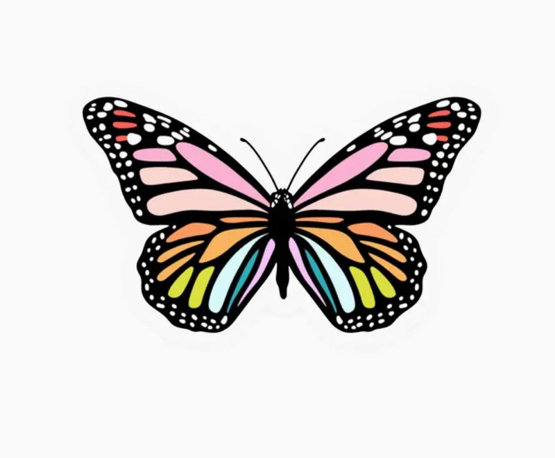 rainbow butterfly sticker