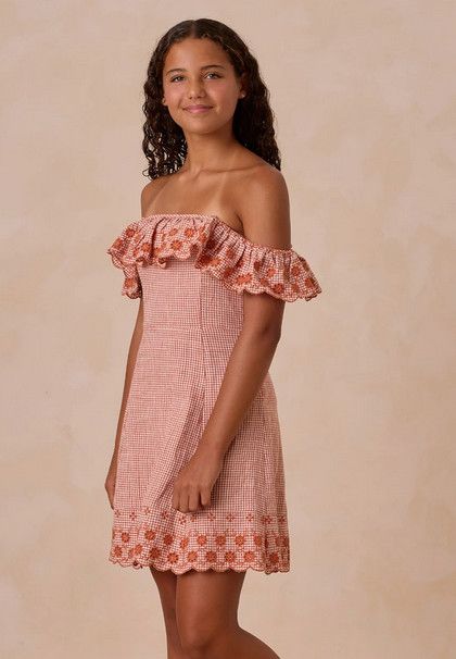 bianca mini dress- poppy gingham