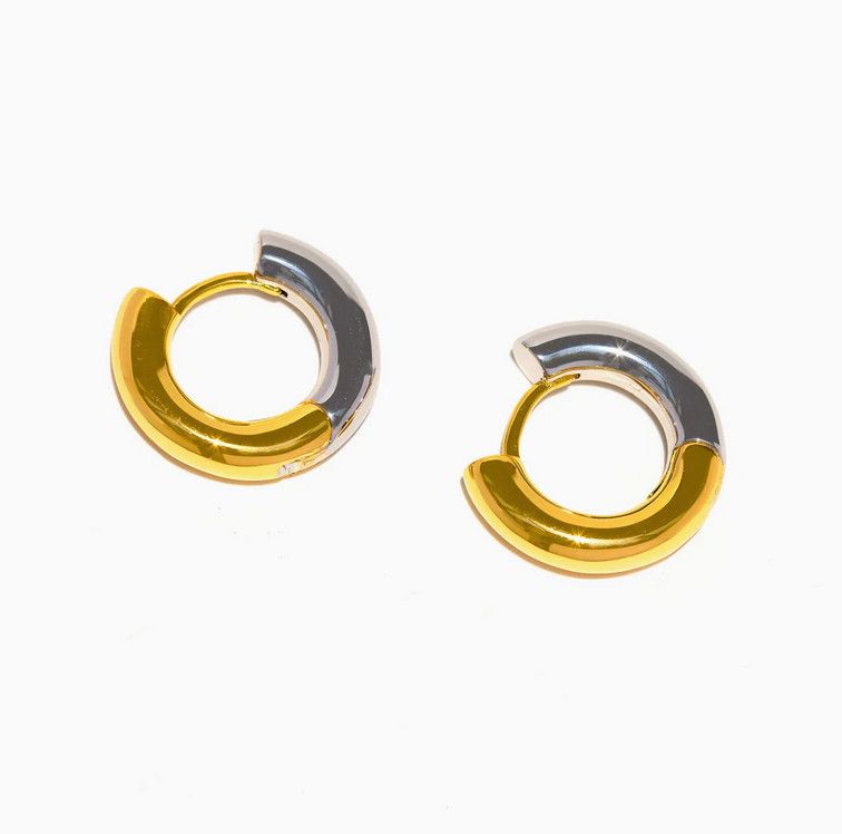 duality reversible hoops