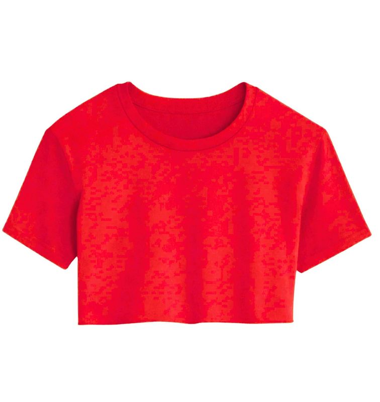 tristan crop tee