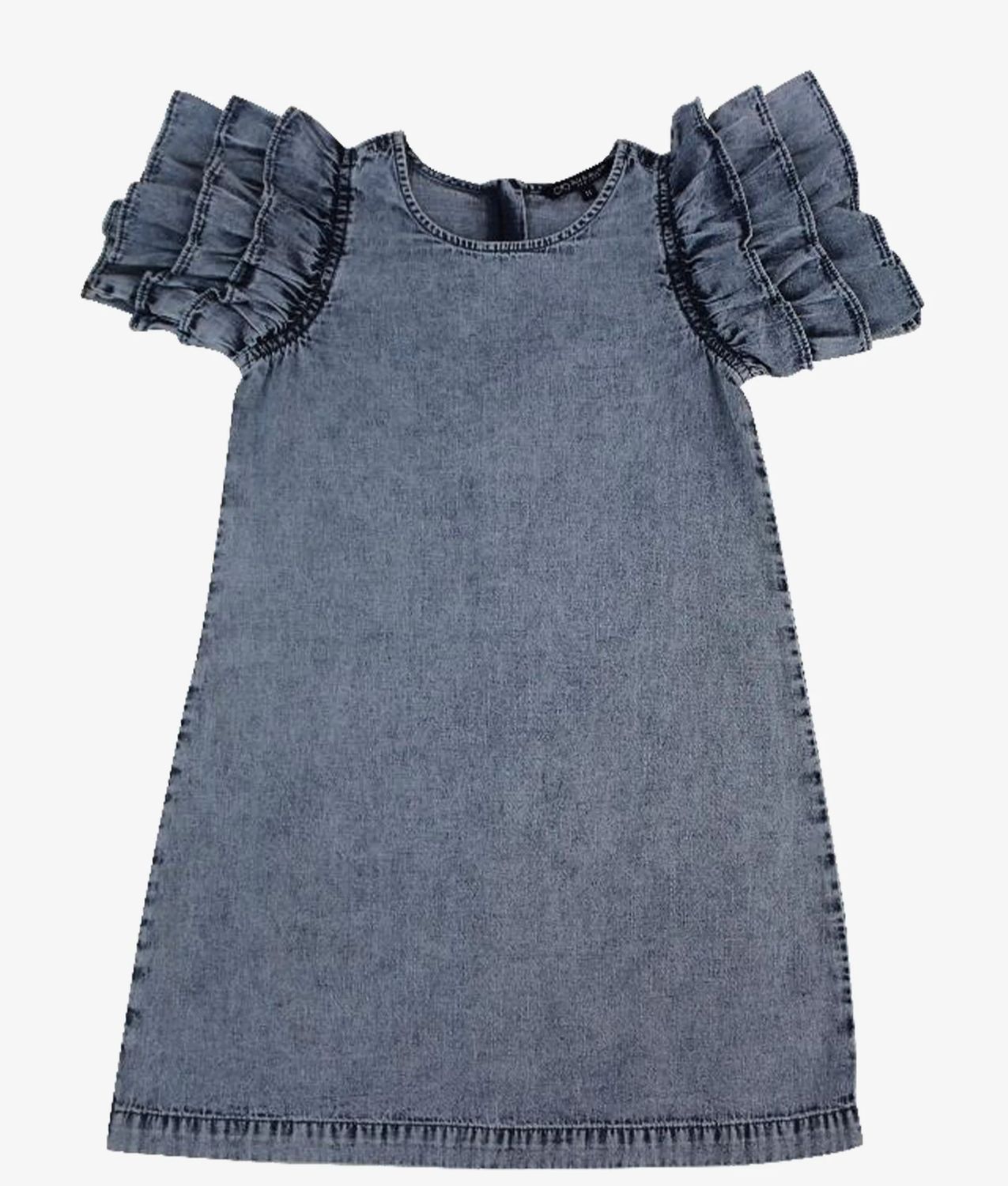 fernanda ruffle sleeve dress