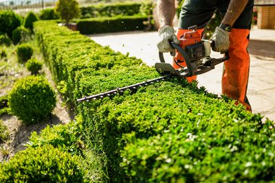 Hedge Trimmers