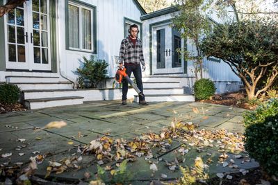 Leaf Blowers