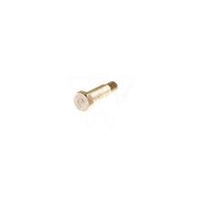 501-43-55-01 SCREW*