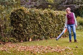 BATTERY / ELECTRIC BLOWERS