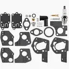 495606 CARB KIT OVERHAUL