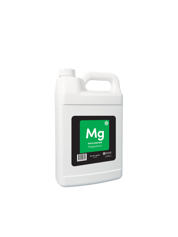 Phylloscape Magnesium