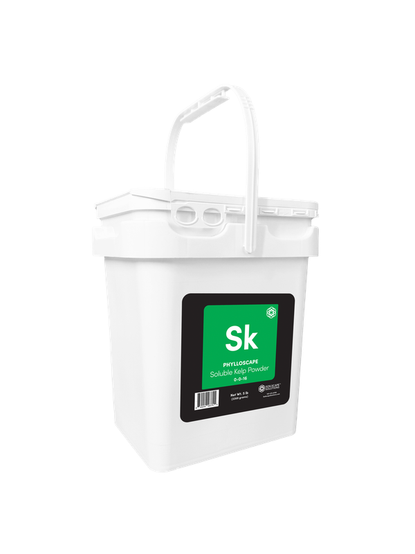Phylloscape Soluble Kelp Powder