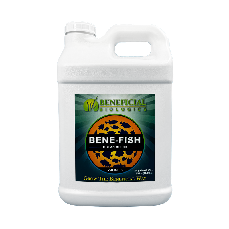 Bene-Fish