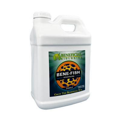 Bene-Fish