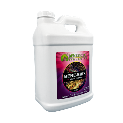 Bene-Brix