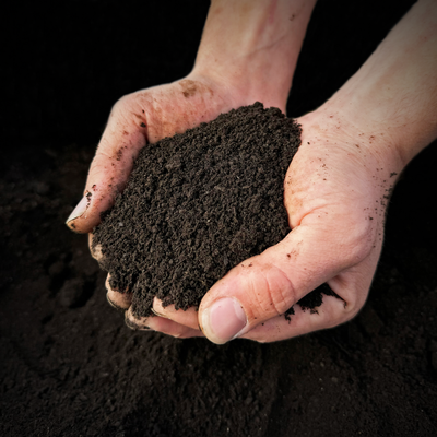 Worm Castings
