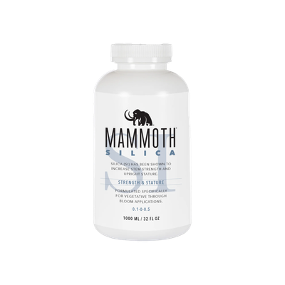 Mammoth Silica