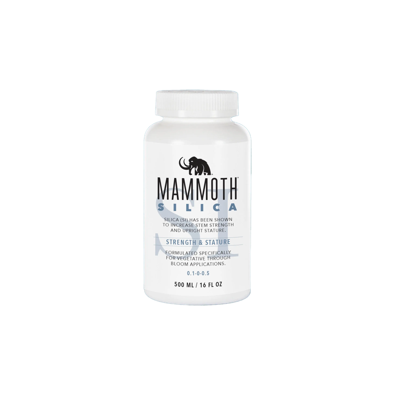 Mammoth Silica