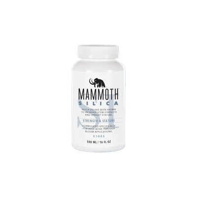 Mammoth Silica