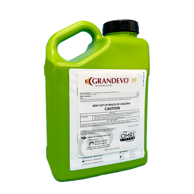 Grandevo CG
