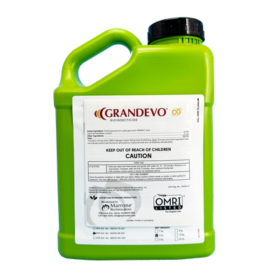 Grandevo CG