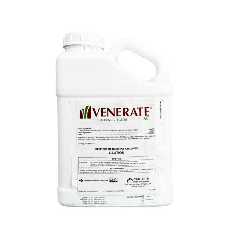 Venerate CG