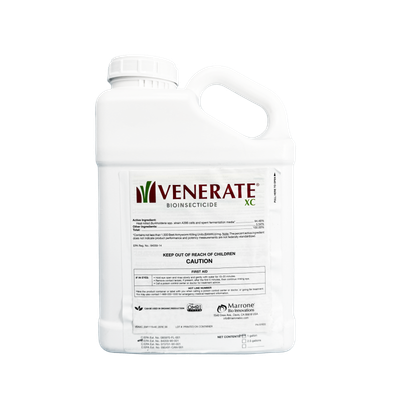 Venerate CG