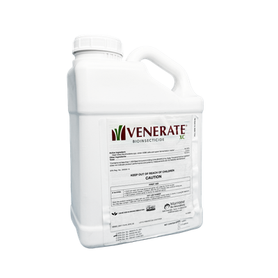 Venerate CG
