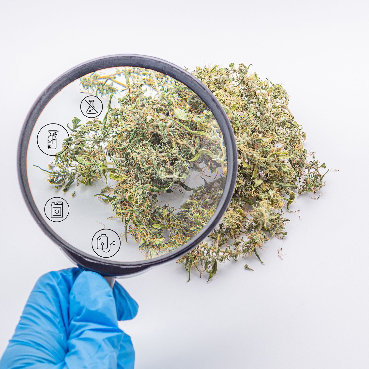 Residual Pesticide Screen (RPS) CDFA Pesticide Test