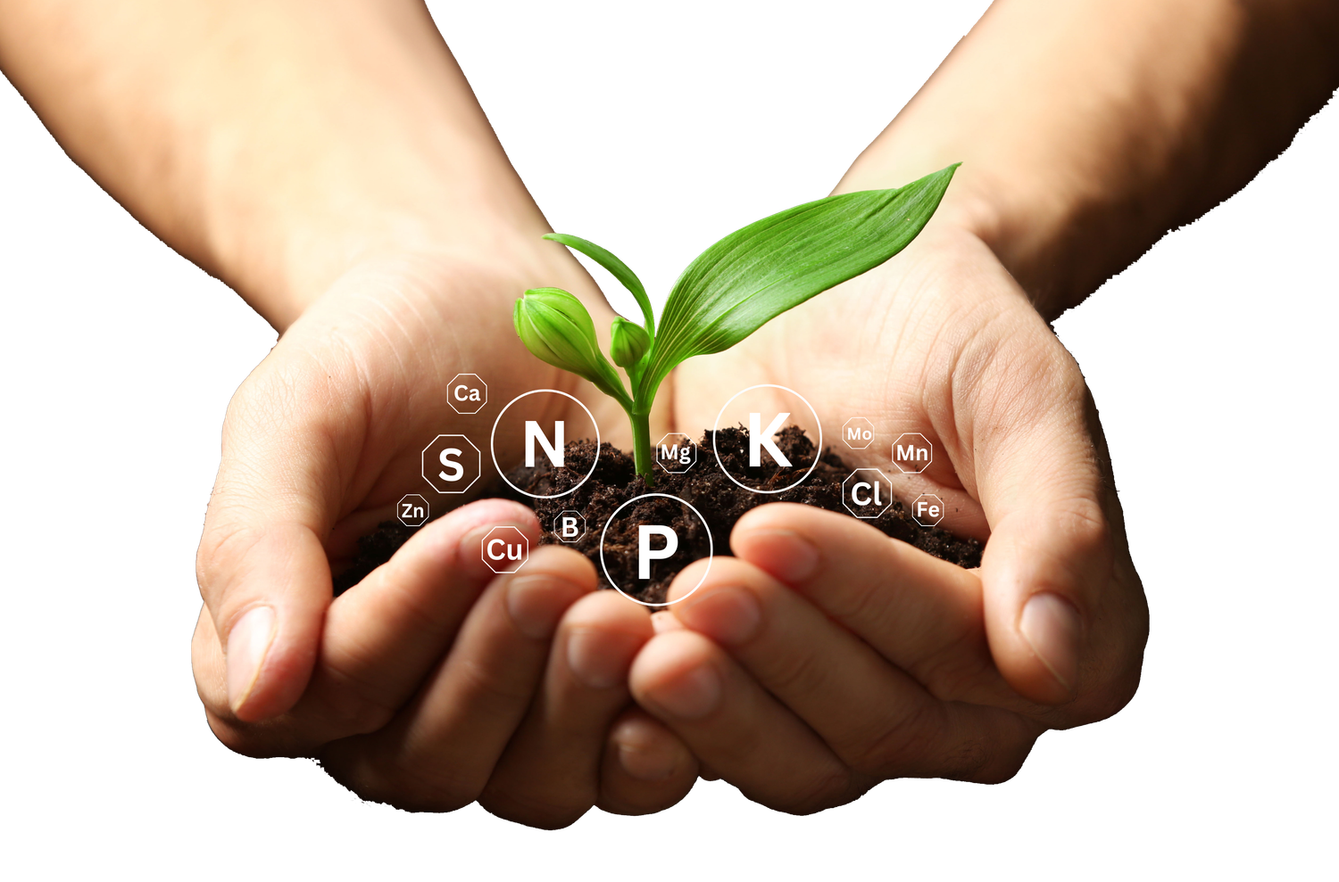Advanced Soil Nutrient Analysis