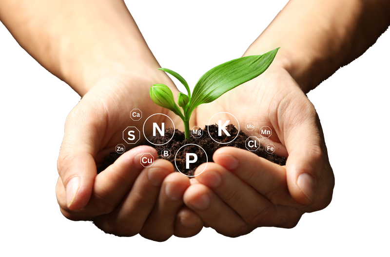 Advanced Soil Nutrient Analysis