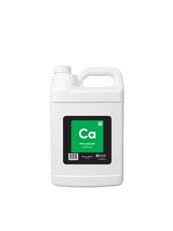 Phylloscape Calcium