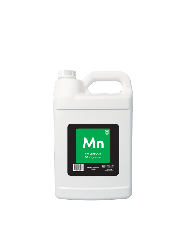 Phylloscape Manganese