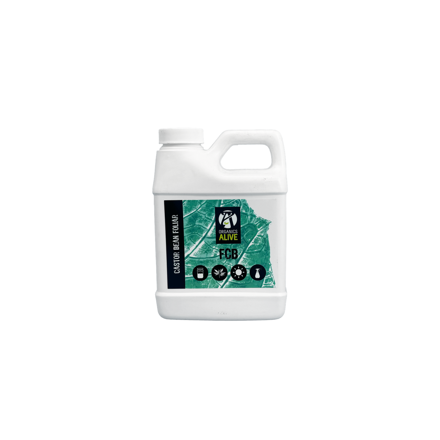 FCB Moisture Manager, Size: 1 pt