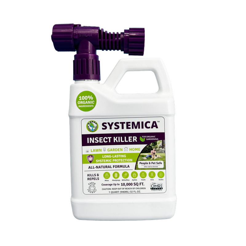 SNS Systemica 1 qt