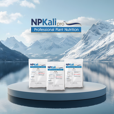 Supplemental (Conventional)
