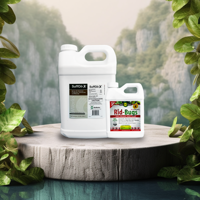 Horticultural Oils