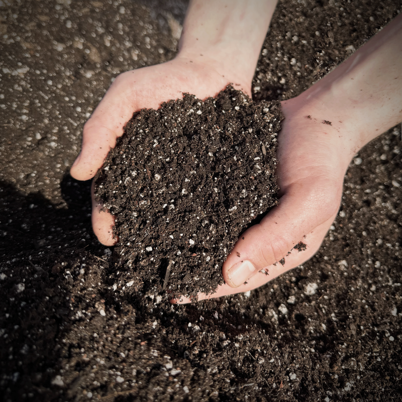 Foundational LITE Potting Mix - Full Truck Load (Bulk/Loose)