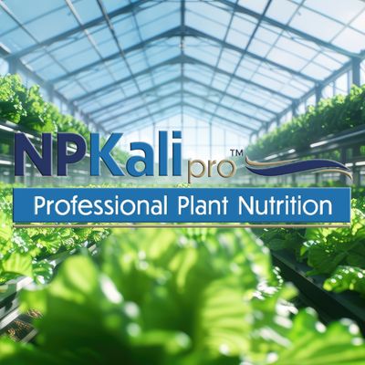 NPKali Pro