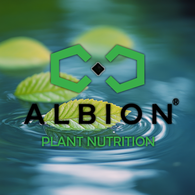 Albion