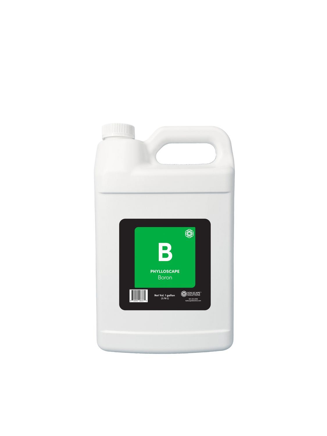 Phylloscape Boron, Size: 1 gal