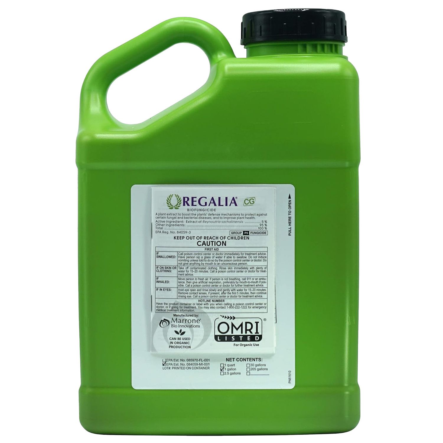 Regalia CG, Size: 1 gal