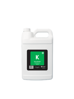 Phylloscape Potassium