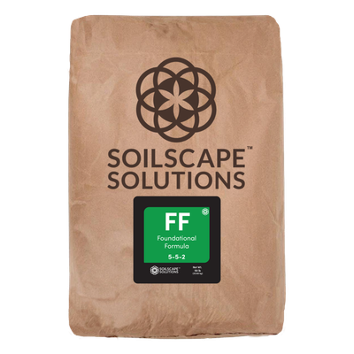 Foundational Formula