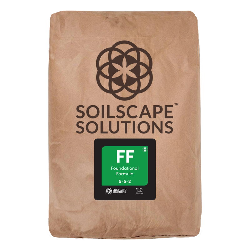 Foundational Formula