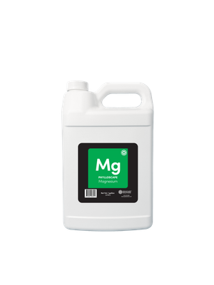 Phylloscape Magnesium