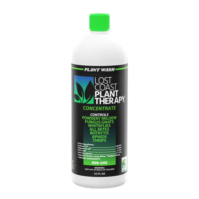 Lost Coast Plant Therapy