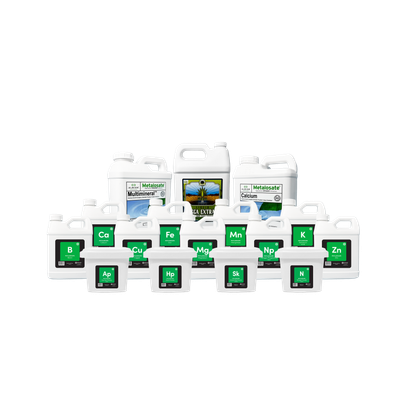 Phylloscape Kit Quart (Up to 10k sq/ft)