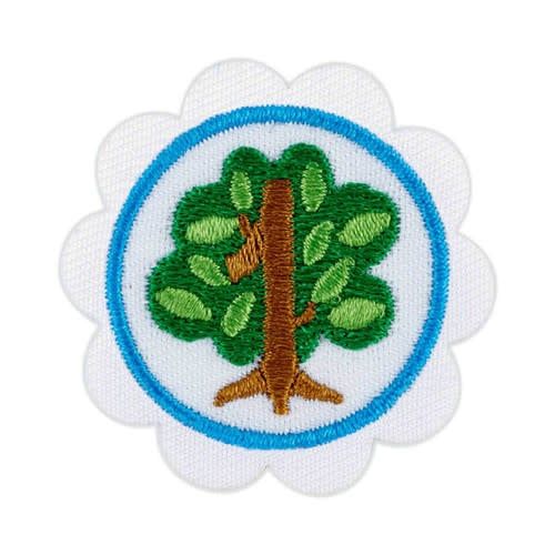 Daisy Shapes in Nature Badge